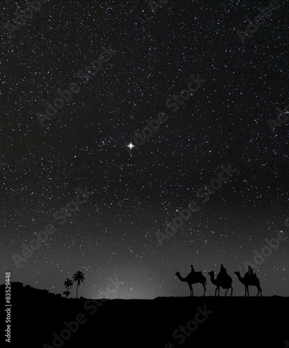 Nativity scene with 3 wise men and the Christmas star.