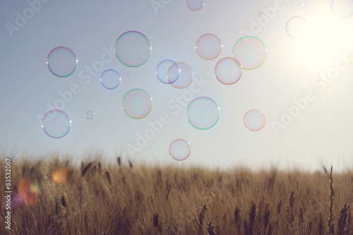 Soap bubbles floating mid air over a field, Senigallia, Ancona, Marche, Italy photo