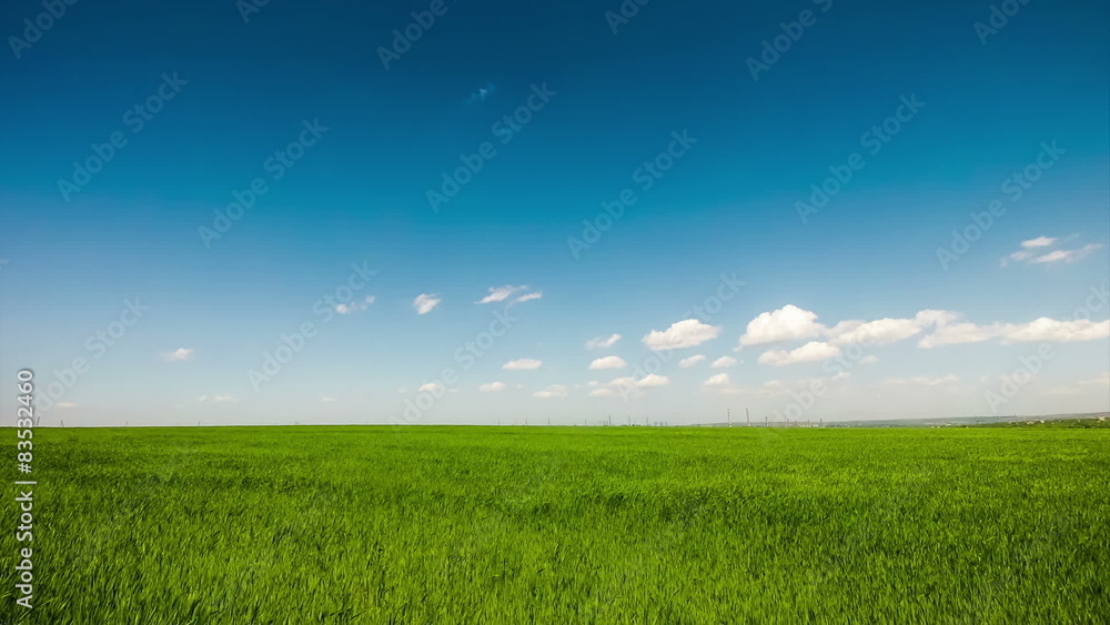 Blue clouds on a background of green field Blue clouds on a background of green field