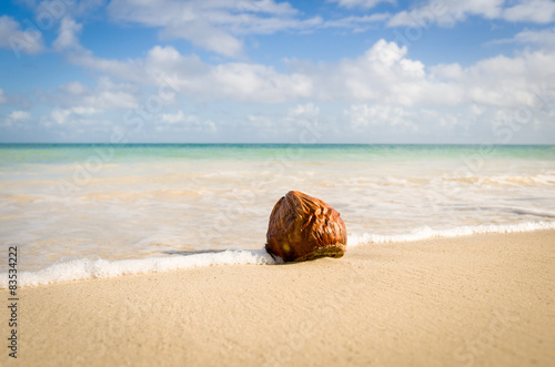 Antigua and Barbuda, Antigua, Coconut on Hodges Bay Beach photo