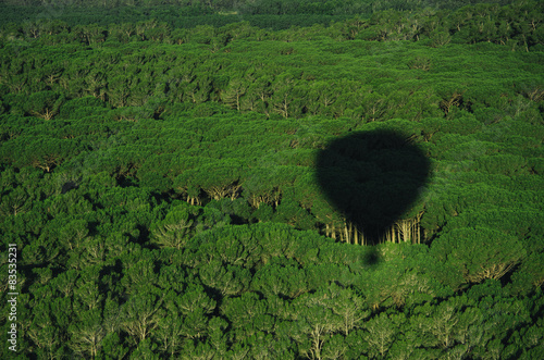 Hot air balloon shadow photo