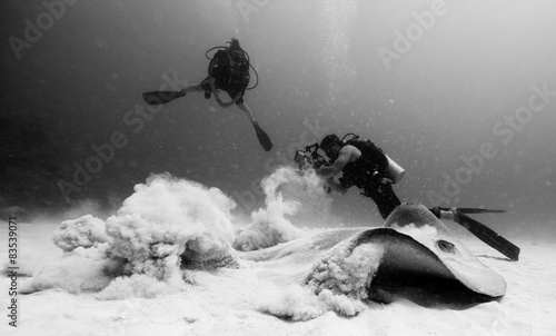 Divers photographing mantaray photo