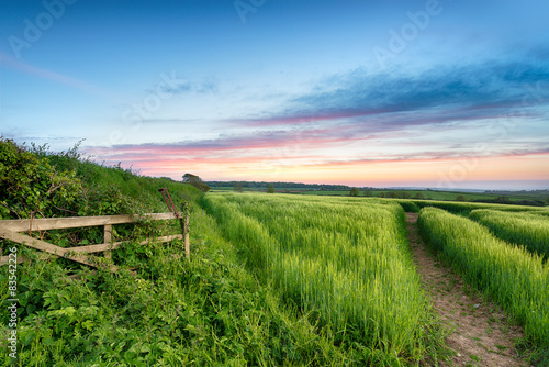 Cornish Countryside