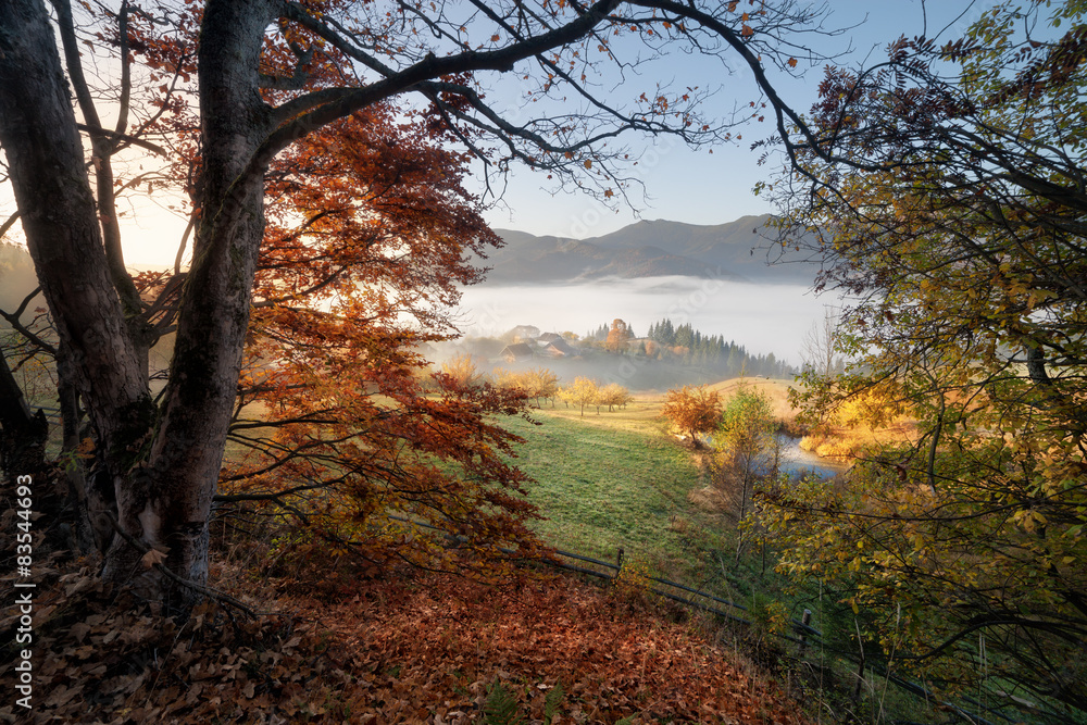 Fall colors countryside view