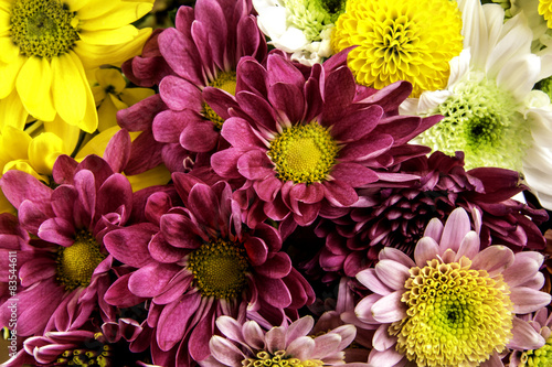 Fototapeta Naklejka Na Ścianę i Meble -  isolated bouquet of assorted spring flowers