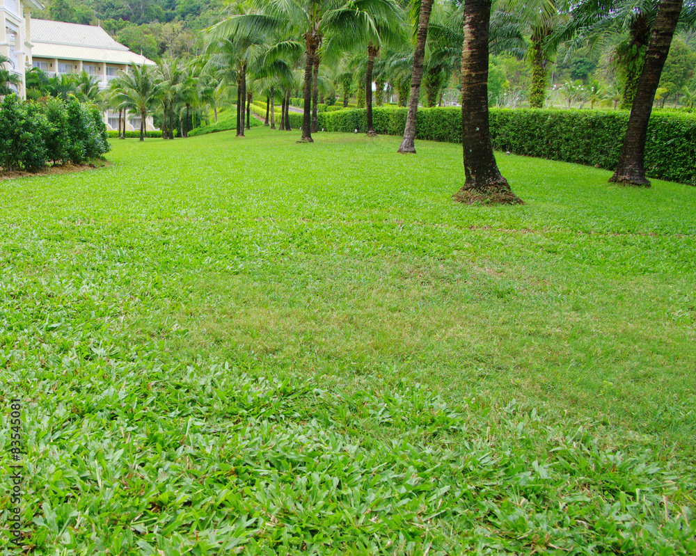 Garden Garden