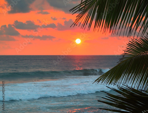 beautiful sea sunset and palm leaves © Kokhanchikov