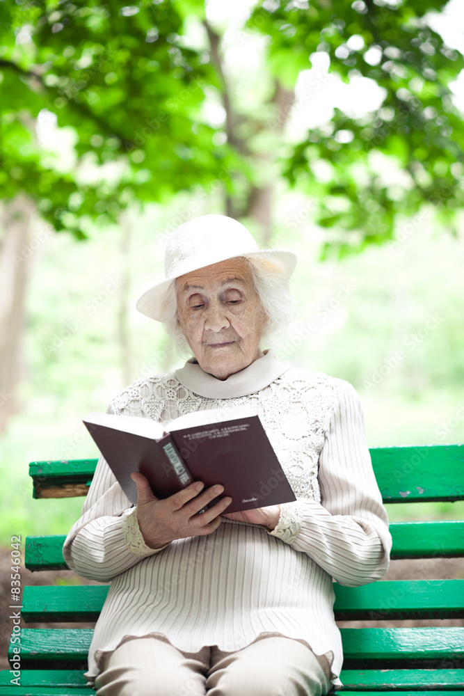 portrait of happy grandmother on a park bench, read book portrait of happy grandmother on a park bench, read book
