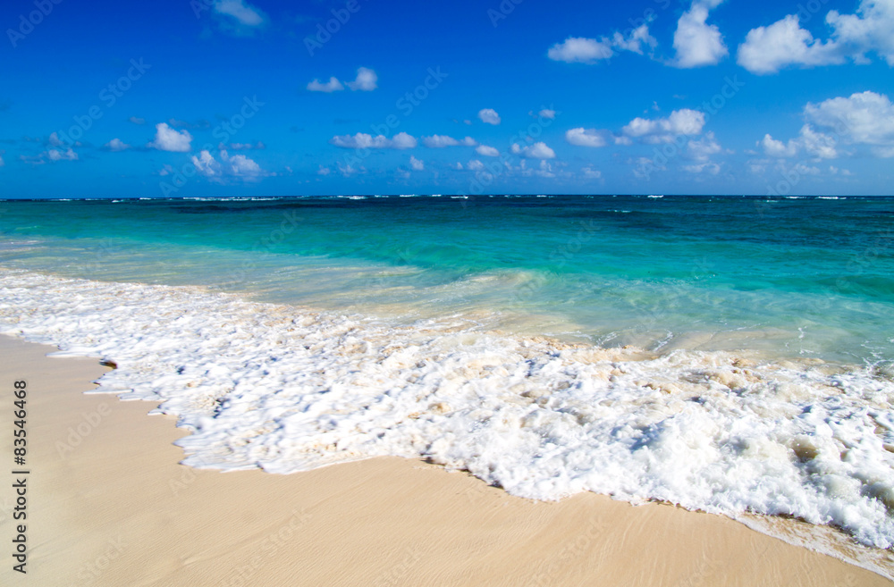 Fototapeta premium tropical sea