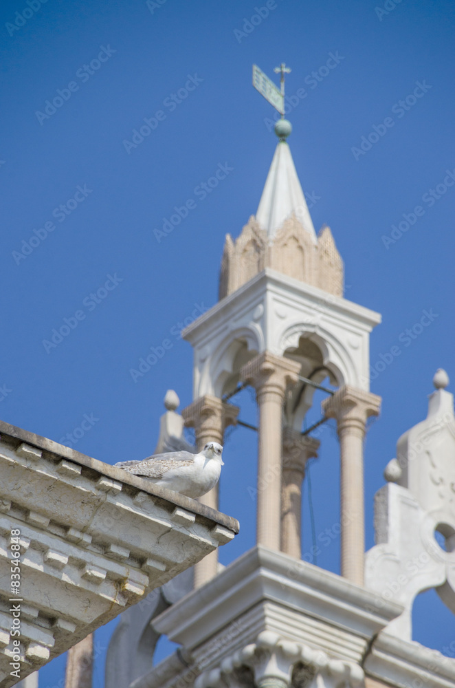 Pigeon and details of Doge's Palace in Venice, Italy