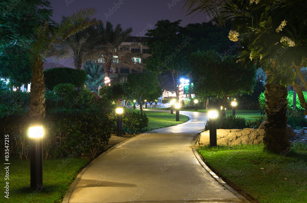 Obraz premium garden at night