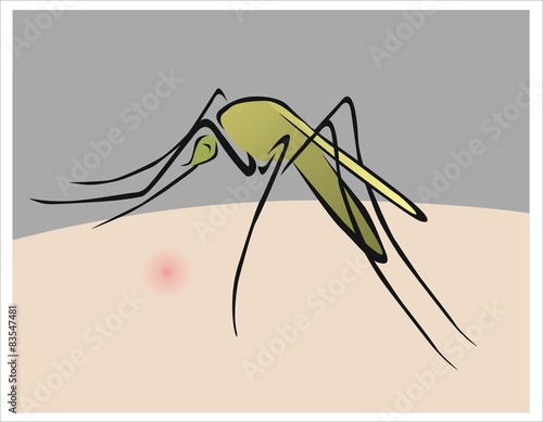 mosquito picando a alguien