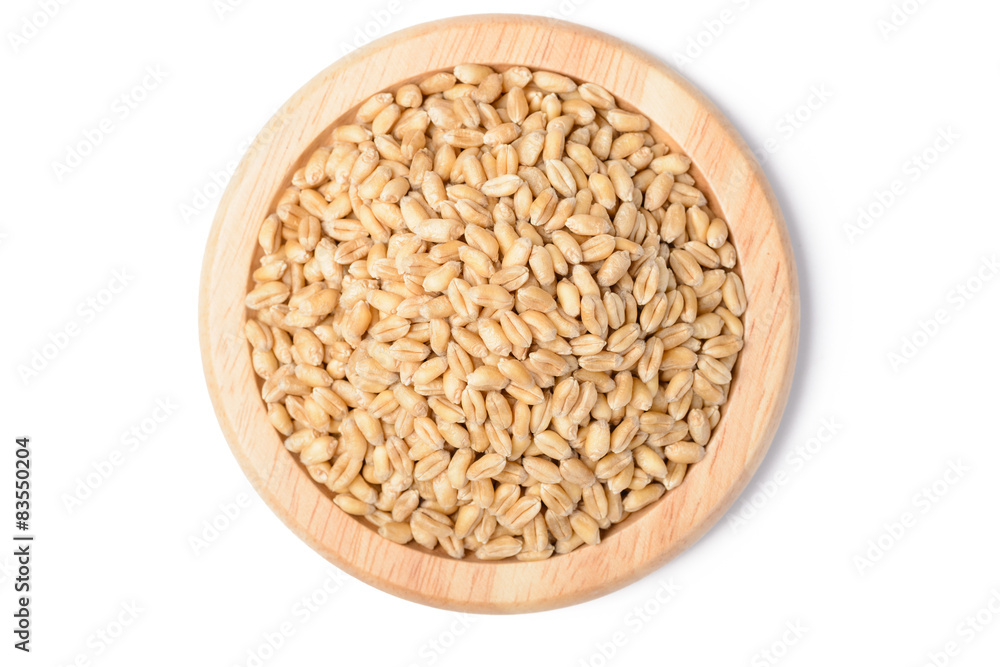 wheat wheat