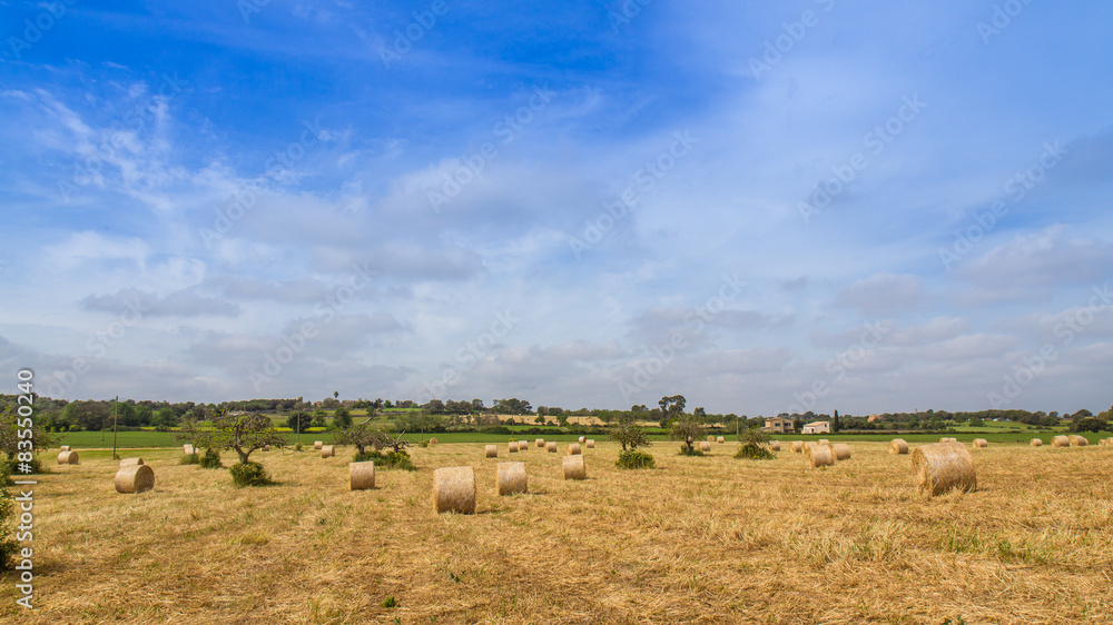 Obraz premium Mallorca - Spain