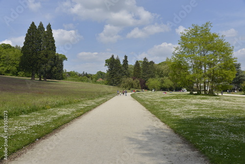 L'un des chemins principaux du parc Solvay de La Hulpe