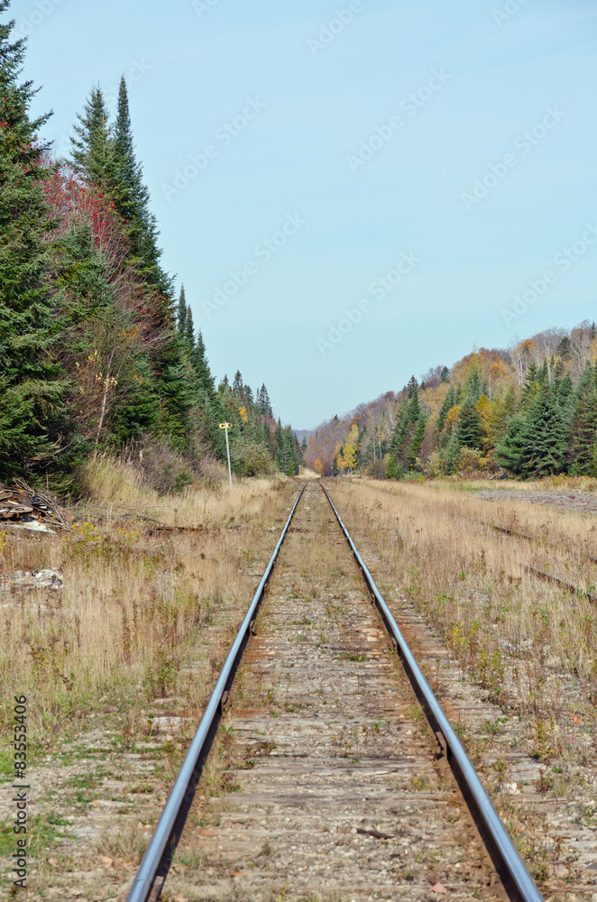 Obraz premium Railway tracks