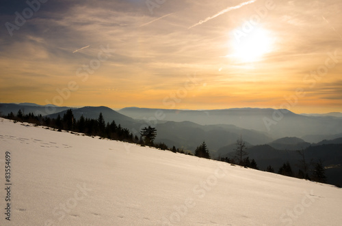 Abendsonne im Winter