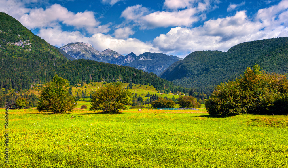 Colorful summer morning in the Triglav national park