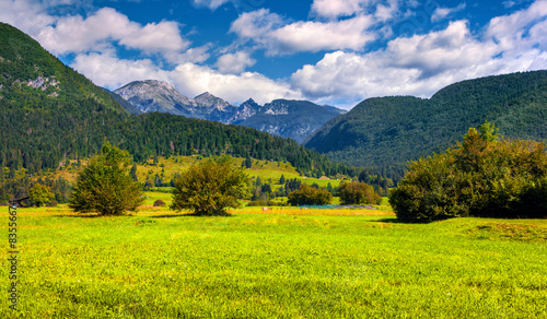 Colorful summer morning in the Triglav national park