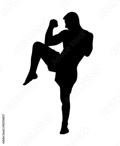 Kickboxer silhouette