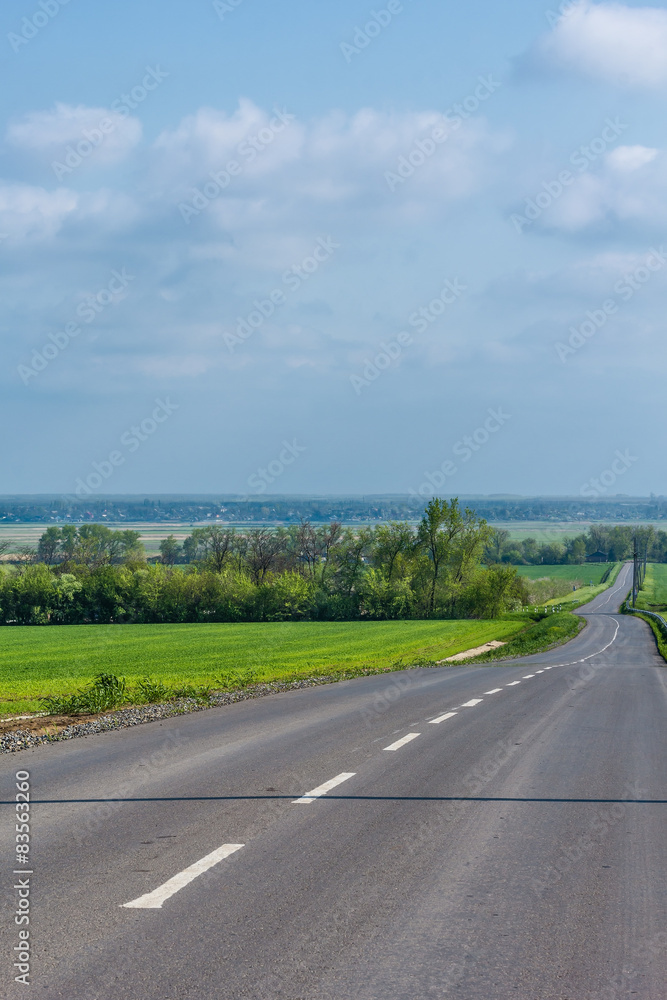 Fototapeta premium Road among fields with spring wheat