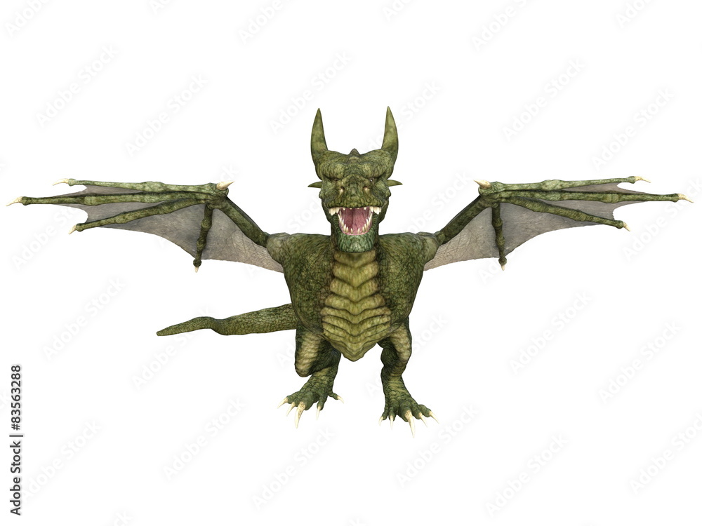 Obraz premium ドラゴン