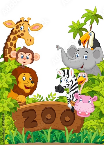 Collection of zoo animals