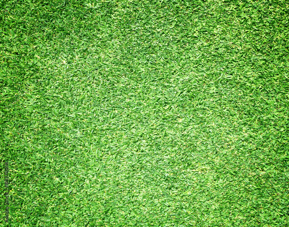 Golf Courses green lawn Golf Courses green lawn
