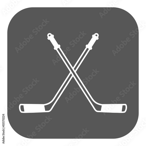 Photography Hockey icon. Sport symbol. Flat