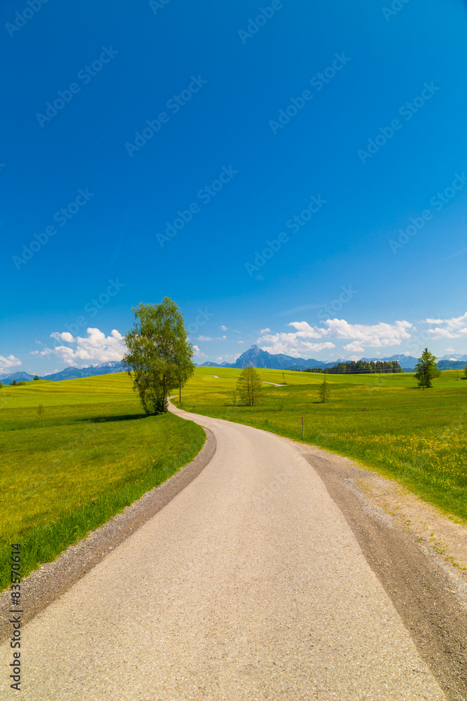 Fototapeta premium Strasse in Bayern im Frühling