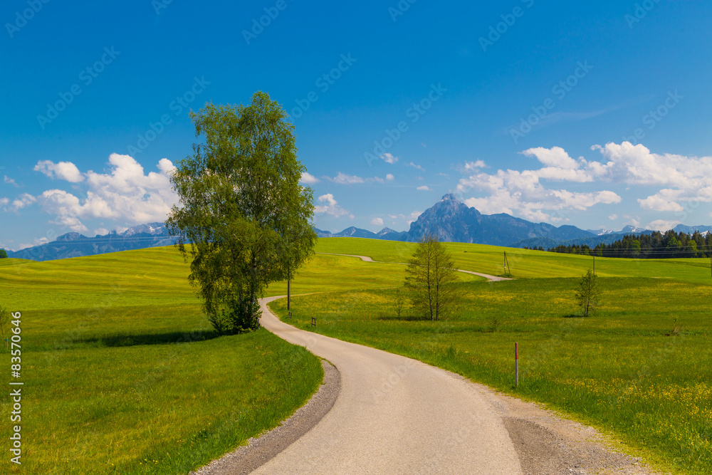 Straße zu den Bergen in Bayern