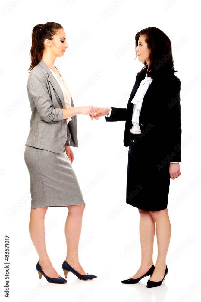 Two women in office outfits giving handshake. Two women in office outfits giving handshake.