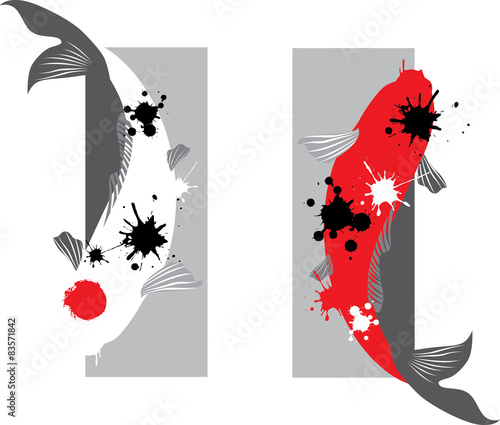 Couple of koi carp