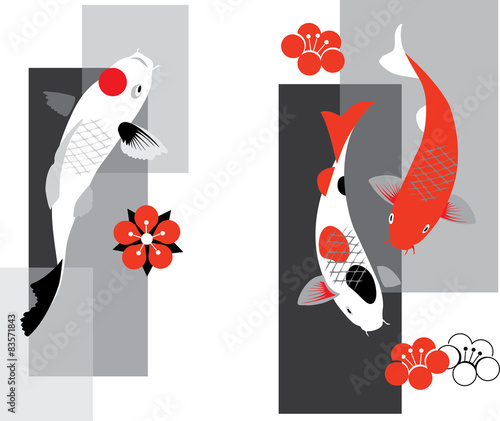 Koi carps