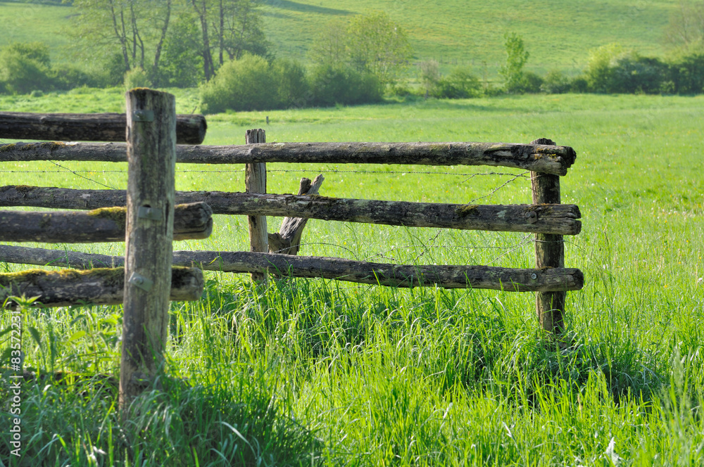 barrière en bois dans prairie à l'herbe verte 