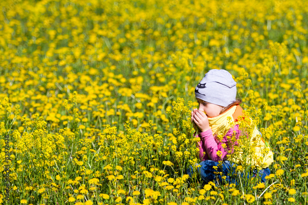 Fototapeta premium The girl collects dandelions