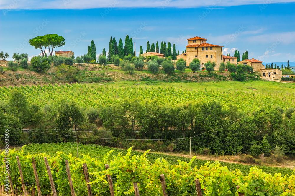Chianti vineyard landscape with stone house,Tuscany,Italy,Europe
