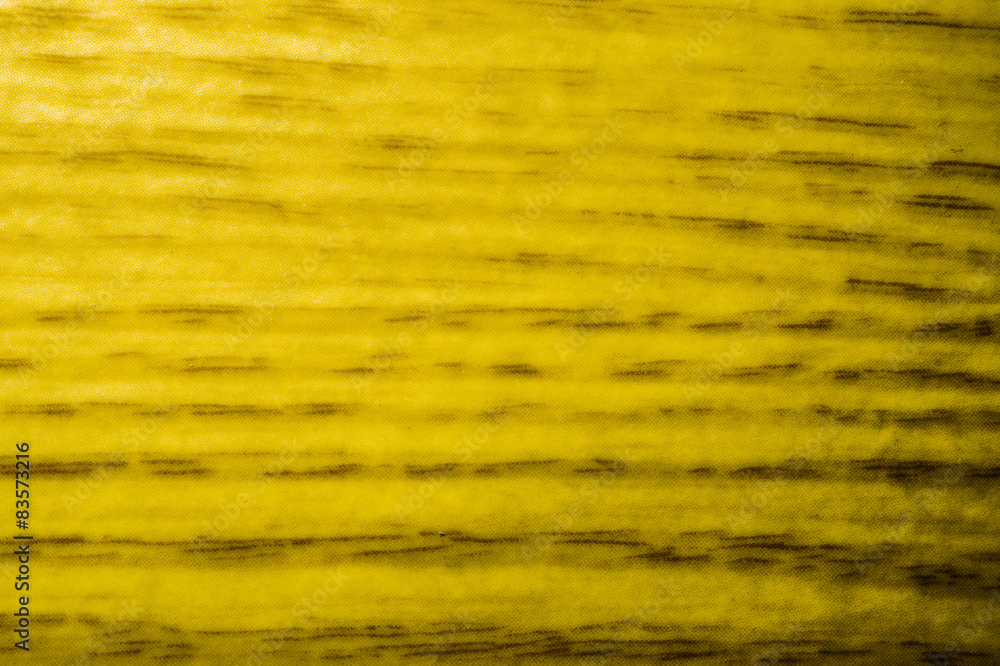 Fototapeta premium Texture