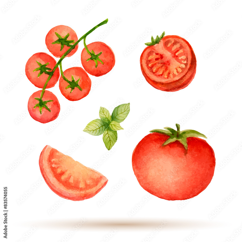 Naklejka premium Set of watercolor vegetables.