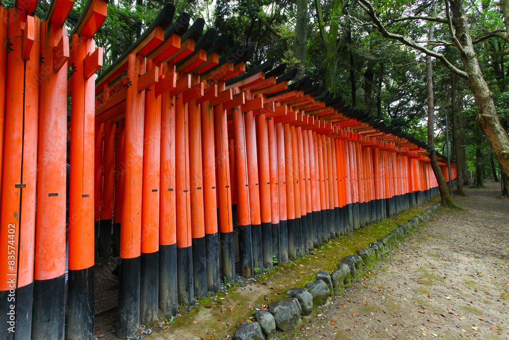 Torii gates at Fushimi Inari-Taish shrine in Kyoto Japan
