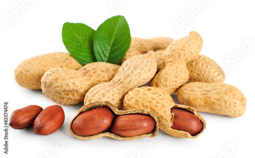 Peanuts isolated on a white background photo
