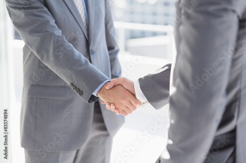 Business colleagues greeting each other