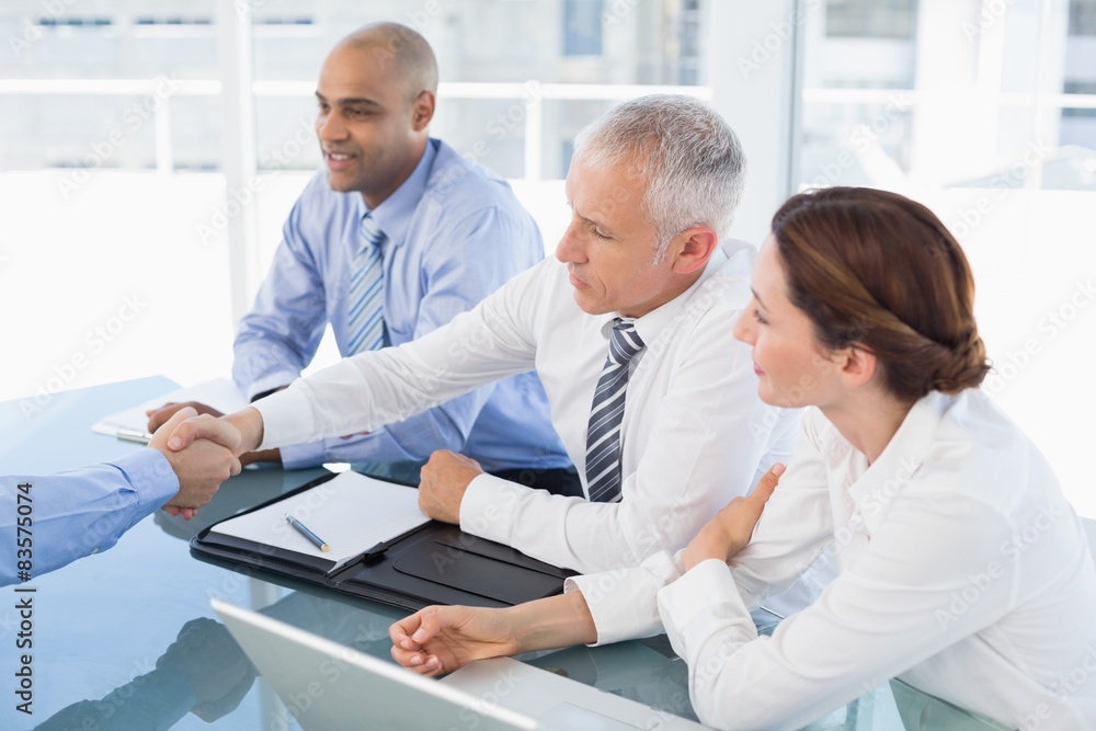 Fototapeta premium Businessman shaking hand during work interview