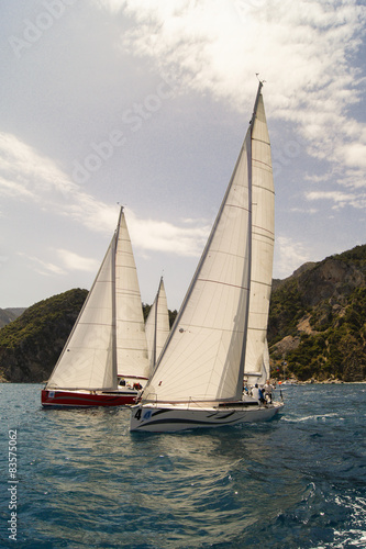 three white sails