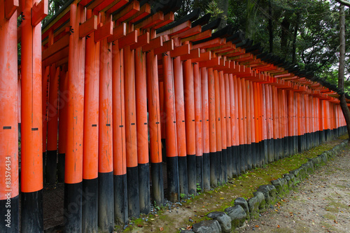 Torii gates at Fushimi Inari-Taish shrine in Kyoto Japan