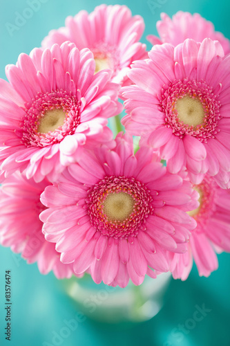beautiful pink gerbera flowers bouquet in vase