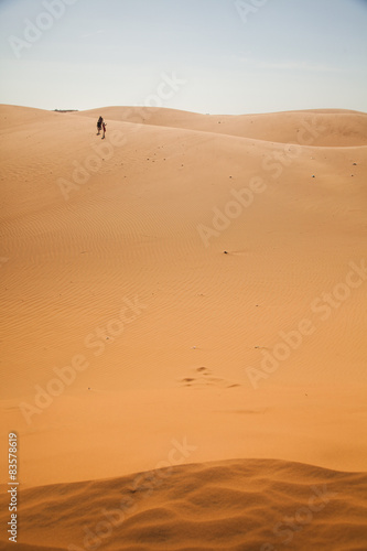 The traveler in the desert