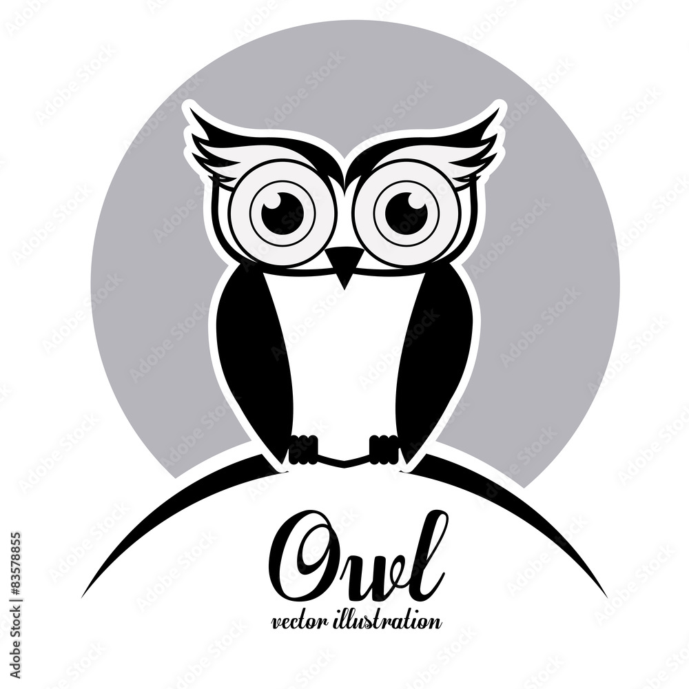 Fototapeta premium Owl design