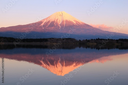 Fototapeta Naklejka Na Ścianę i Meble -  富士山と田貫湖