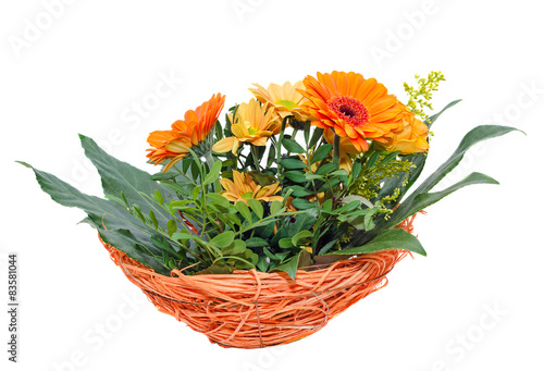 Fototapeta Naklejka Na Ścianę i Meble -  Orange Chrysanthemums flowers, mums, orange basket.
